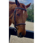 #Horse Club squad