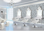 Snowy Salon V1