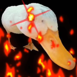 DuckDev QuackQuack