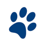 Blue Bear Group!