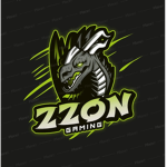 GAMING ZR