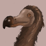 MyDodo