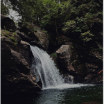 ·Nature's Clothing·