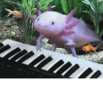 Let’s go Axolotls