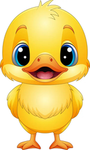 duck1ezz
