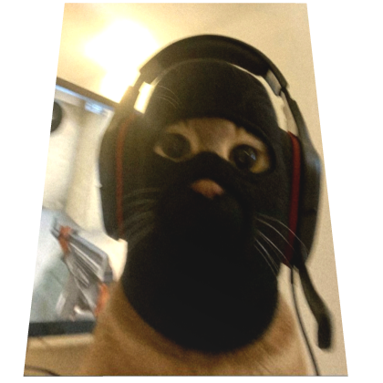 Gamer Cat Cape