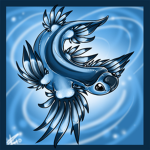 Sea Slugs