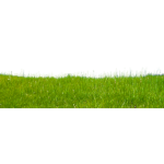 #TouchGrass
