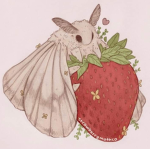 Moth Congress