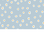 -Summers chat-