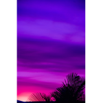 Pɪɴᴋʏ ᴘʟᴀʏs ɢʀᴏᴜᴘ