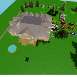 Lionsfan's house