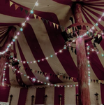 cewl circus