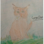 Gorge Clan (Warrior Cats)
