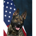 Military Dog Army