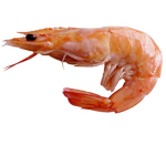 The Prawns Are Your Friends