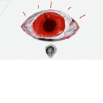 The eyed family