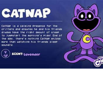 survive from catnap with any tool and zombie