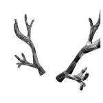 The Silverthorn Antlers