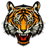 Dj tiger nation