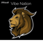Vibe Nation :D