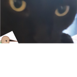 Doors Cosplays