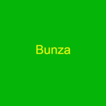 Bunza