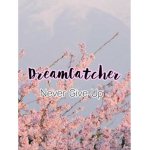 TheDreamCatcher
