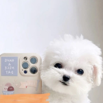 Group Thumbnail