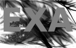 EXA