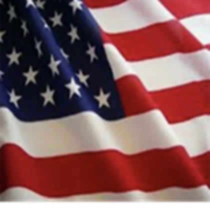 [USA] The United States of America  Roblox group icon