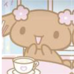Cats cats cats all about cats lol-