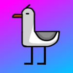 Seagull Nation