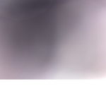 Sans. . . ? (Fan club)