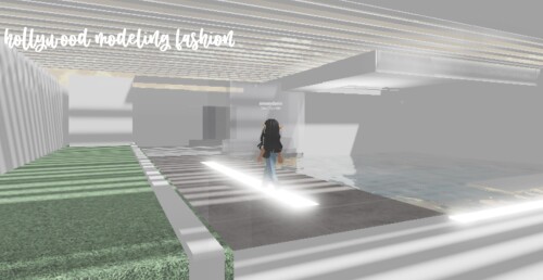 Hollywood modeling runway