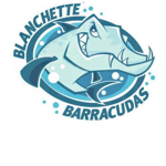 Barracuda Academy Highschool