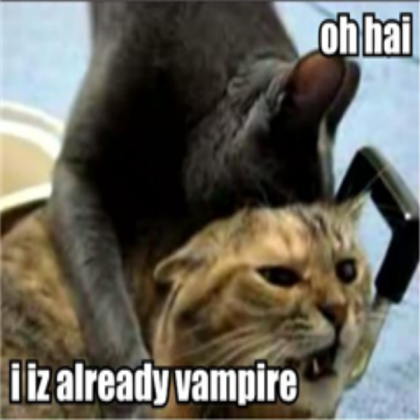 Vampire Cat Roblox decal