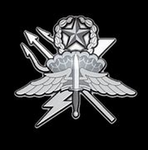+-Special Troops Battalion-+