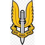 BlackHawk Rescue Mission I I Viper Squadron