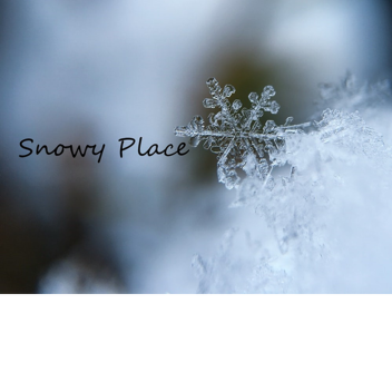Snowy Place