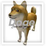 -Doge-