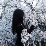 decay-