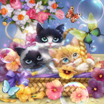 Schnuffel Katze