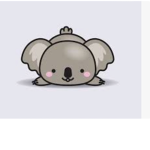 Koala xoxo forever