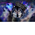 wolf natian