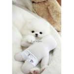 Pug_thecute6