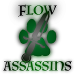 The Flow Assassins