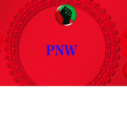 Pro Nitro Wrestling  ARENA