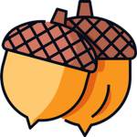 Acorn 5tudios