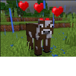 Mincraft cow club